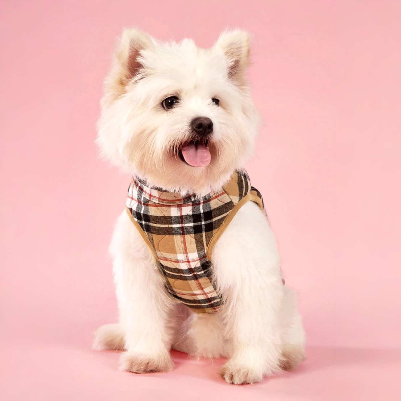 Warm Flannel Dog Jacket With Plaid Design