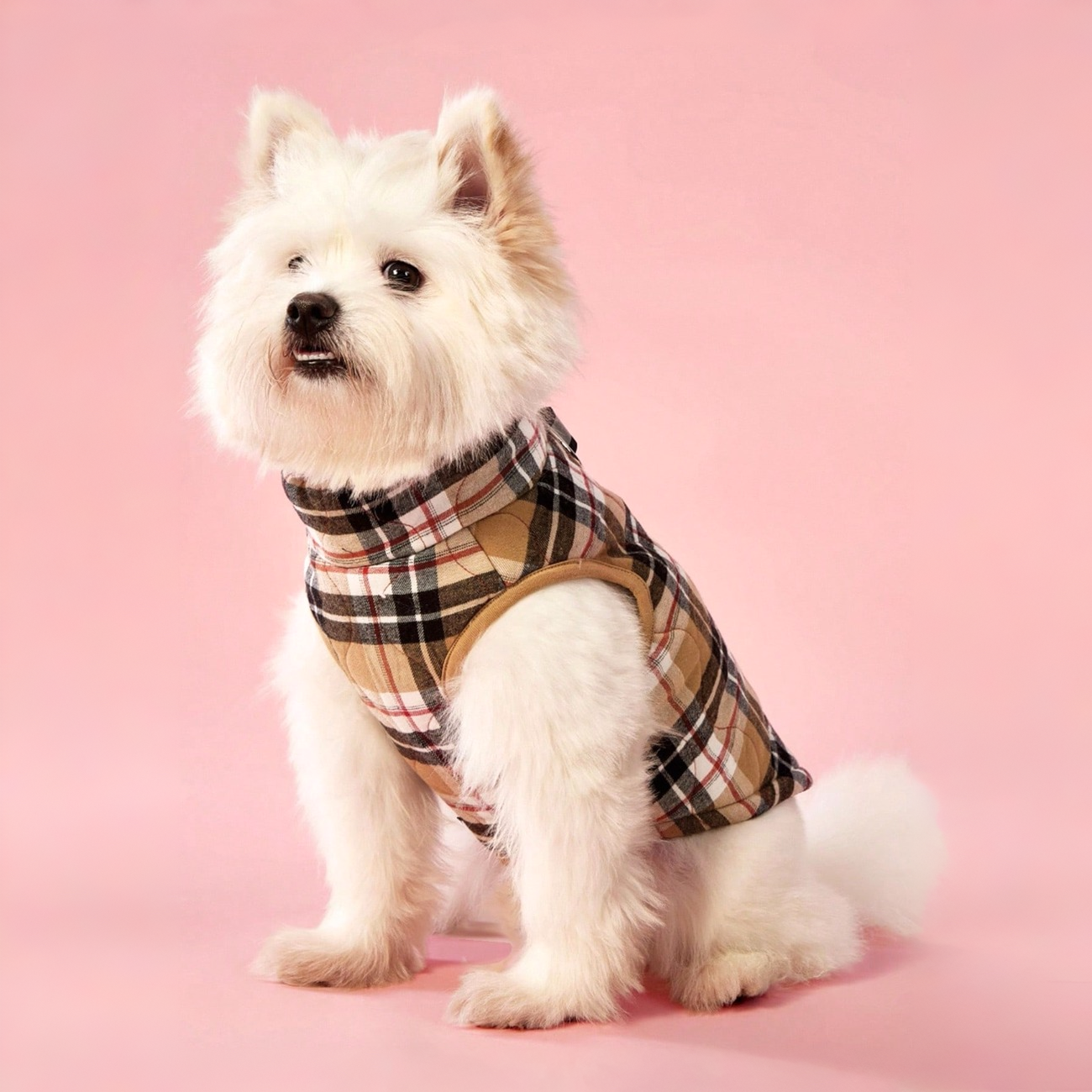 Warm Flannel Dog Jacket With Plaid Design