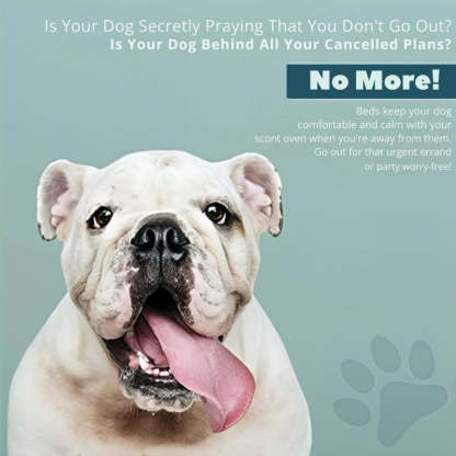 Moisture Resistant Dog Bed Liner-Ziggy Dog Training Collar