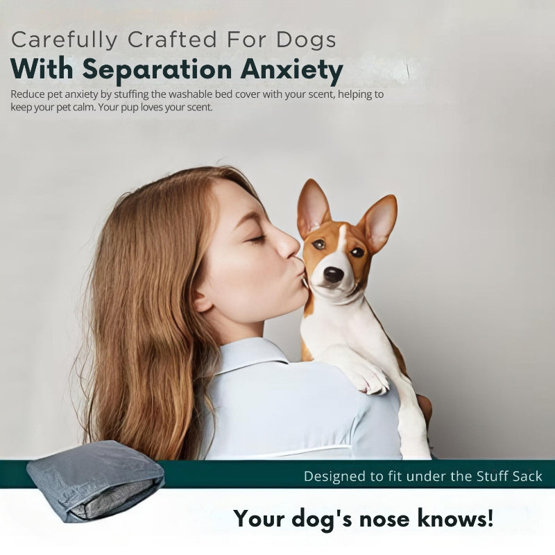 Moisture Resistant Dog Bed Liner-Ziggy Dog Training Collar