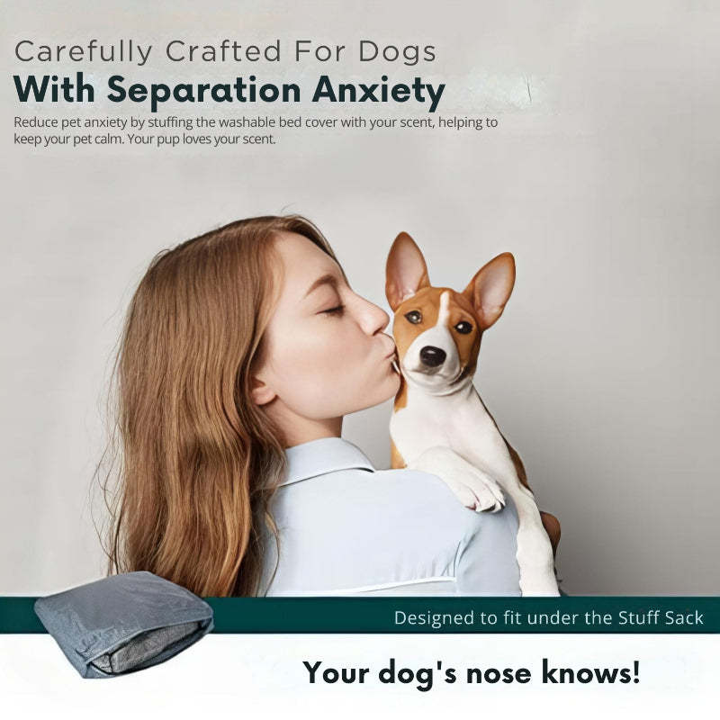 Moisture Resistant Dog Bed Liner-Ziggy Dog Training Collar