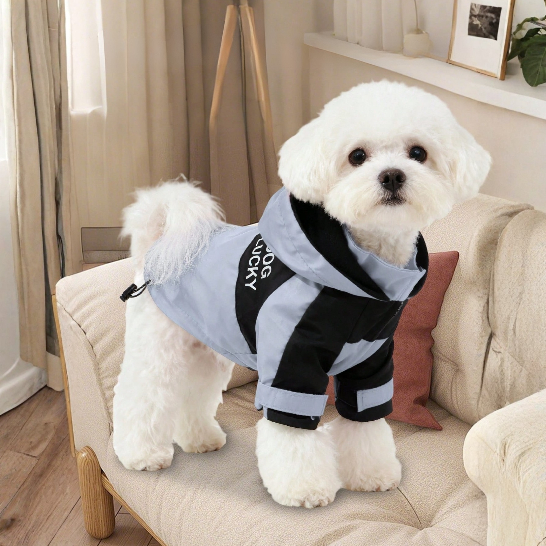 Waterproof Dog Jacket With Hood And Zipper