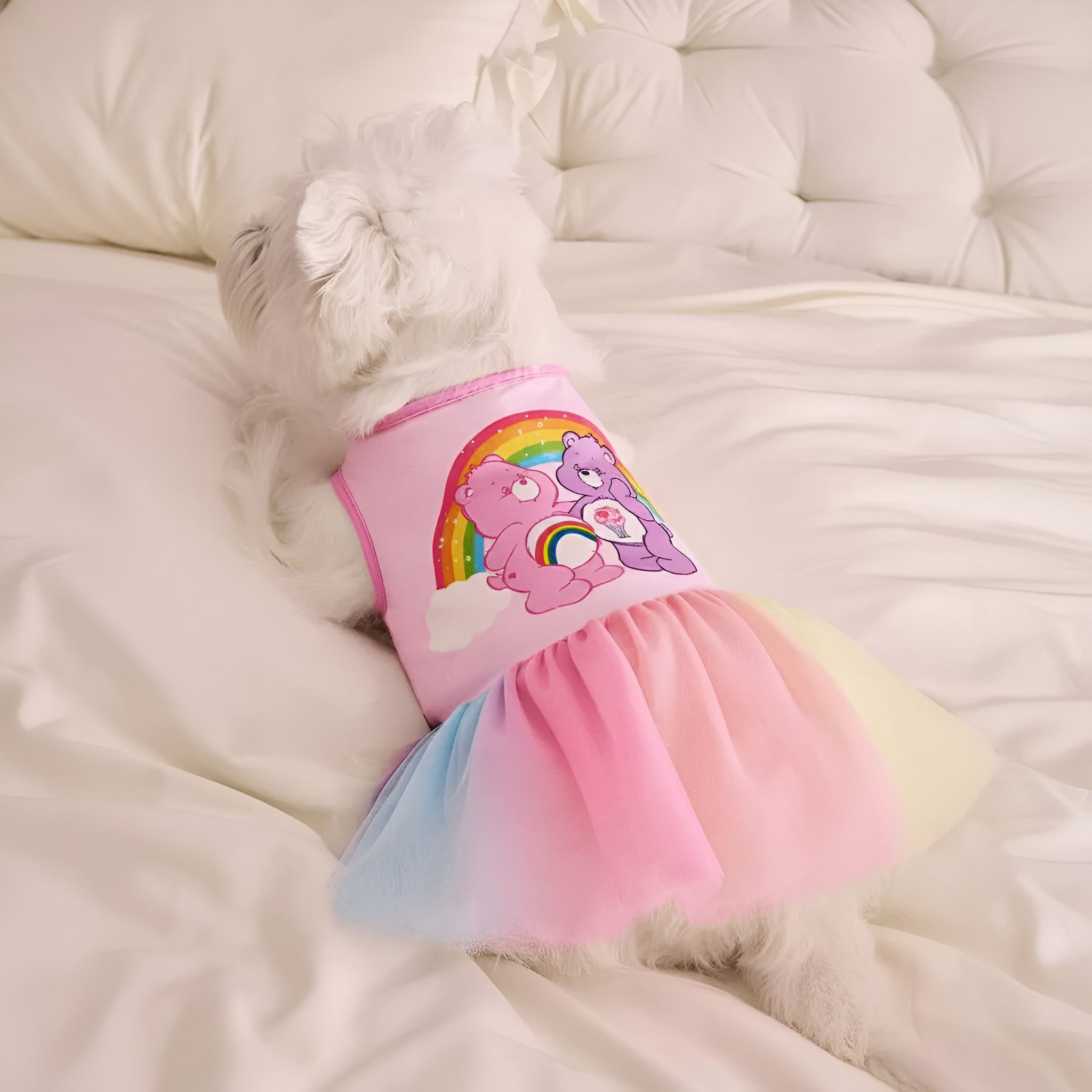 Strawberry Shortcake Cartoon Design Pet Dress With Lace Details 