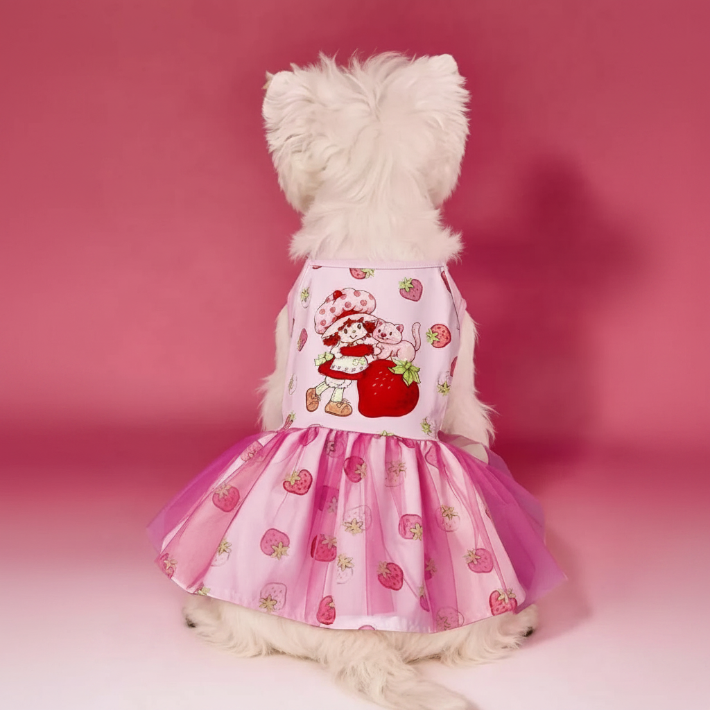 Strawberry Shortcake Cartoon Design Pet Dress With Lace Details 