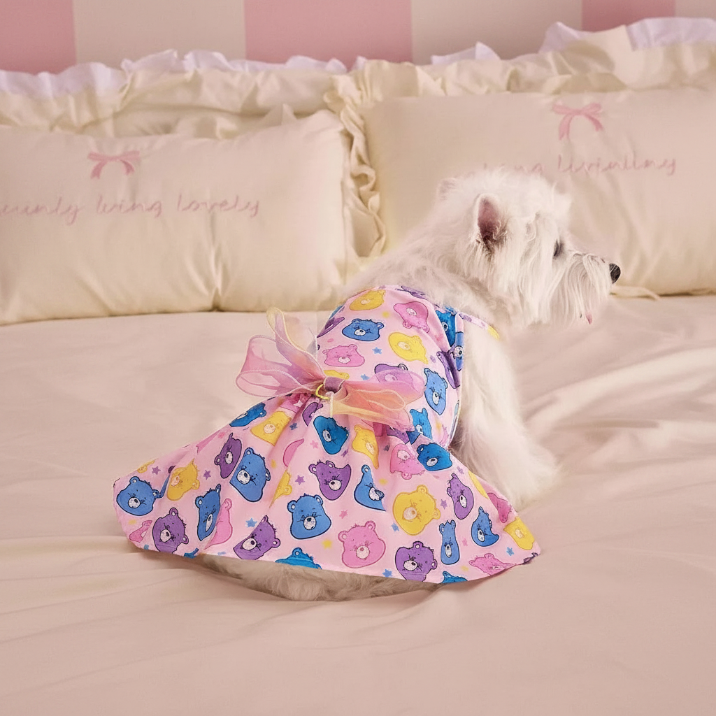 Strawberry Shortcake Cartoon Design Pet Dress With Lace Details 