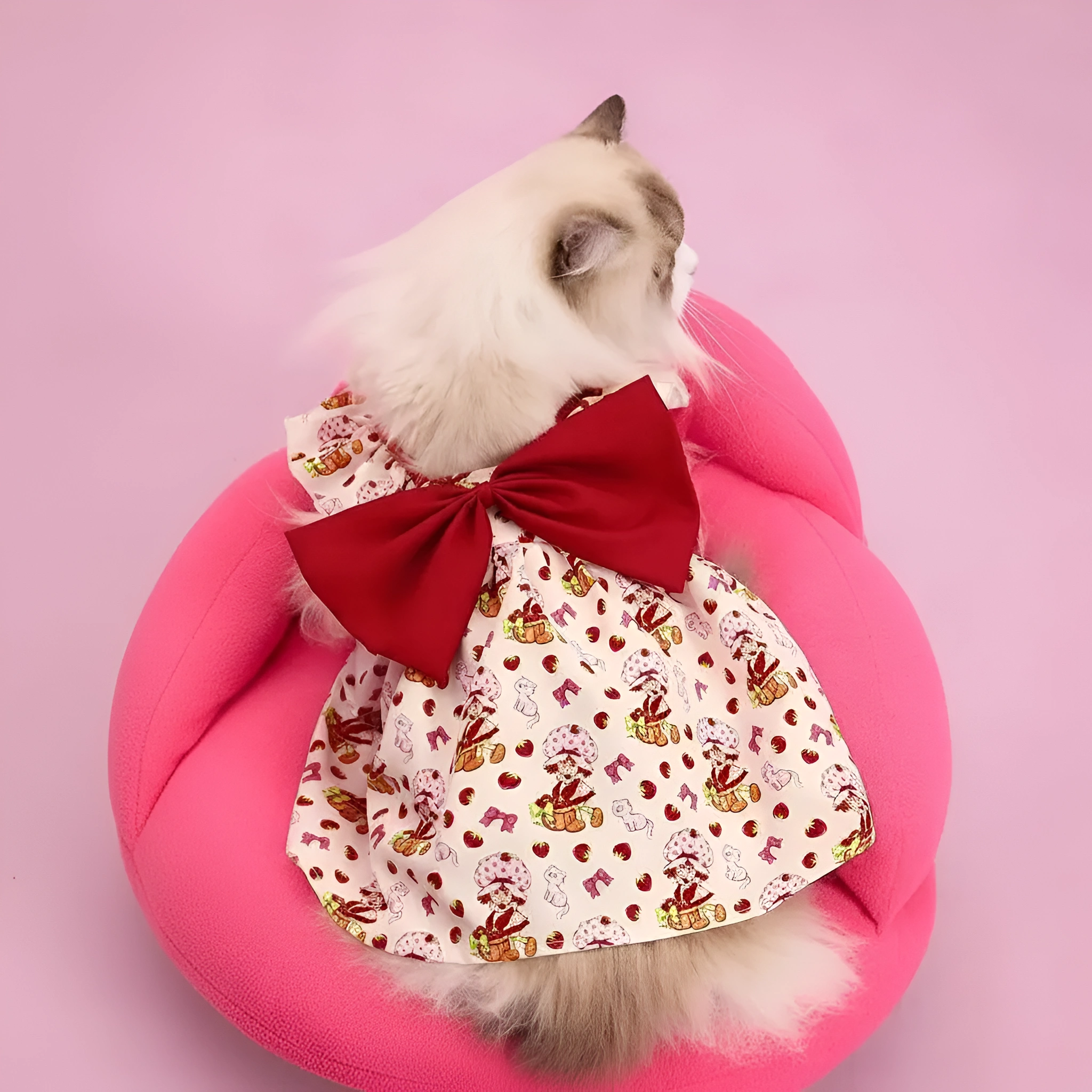 Strawberry Shortcake Cartoon Design Pet Dress With Lace Details 