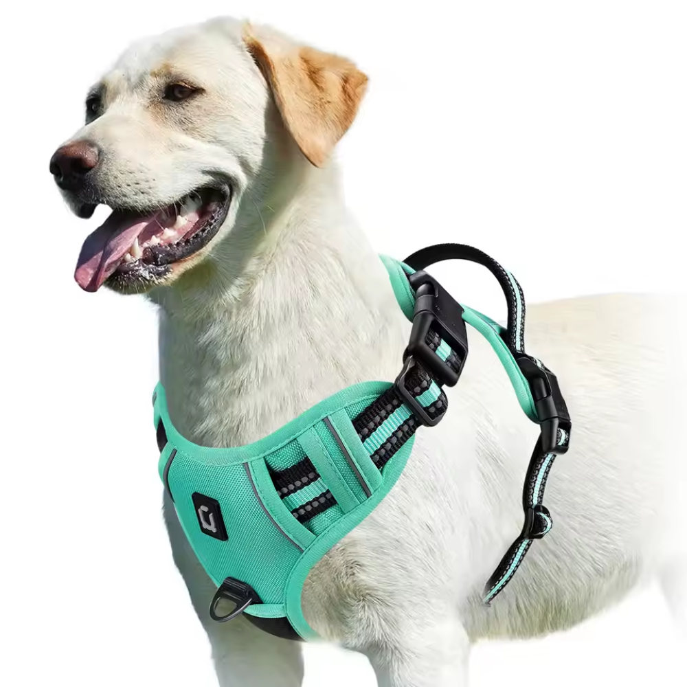 Reflective No Pull Dog Harness With Handle For Easy Walking
