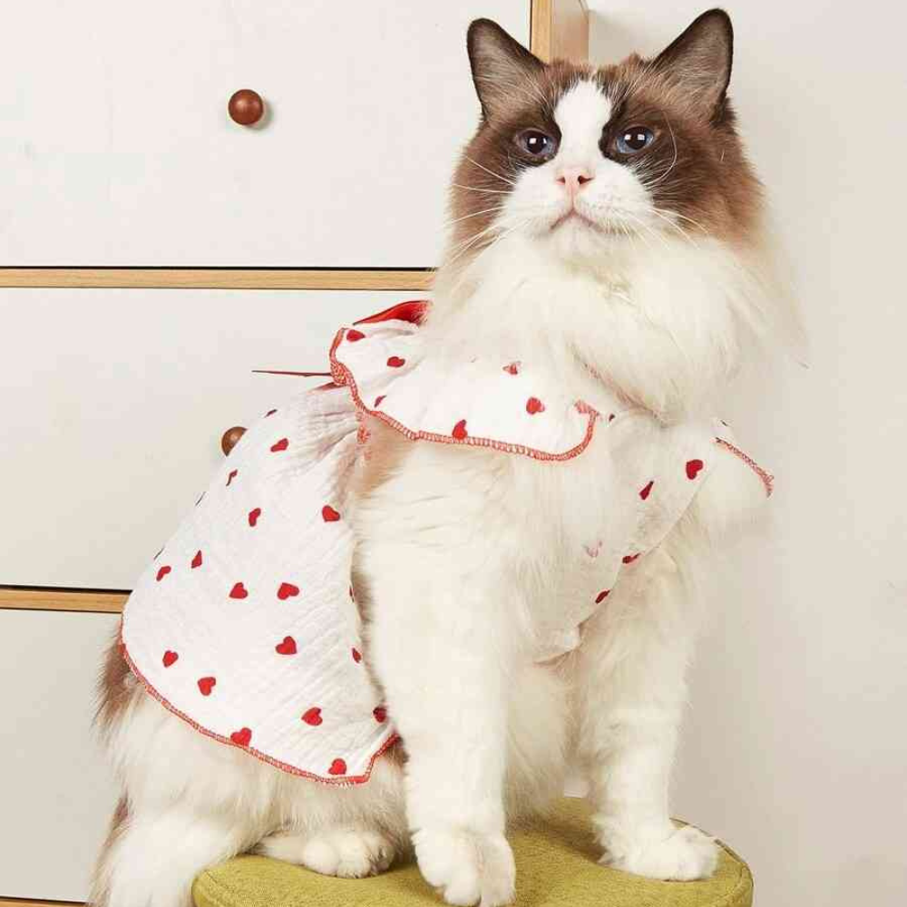 Printed Pet Summer Dress With Bow Detail For Cats And Dogs Stylish Wear