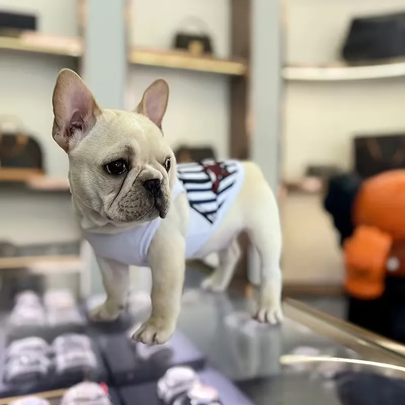 Everyday Pullover Pet Apparel Vest