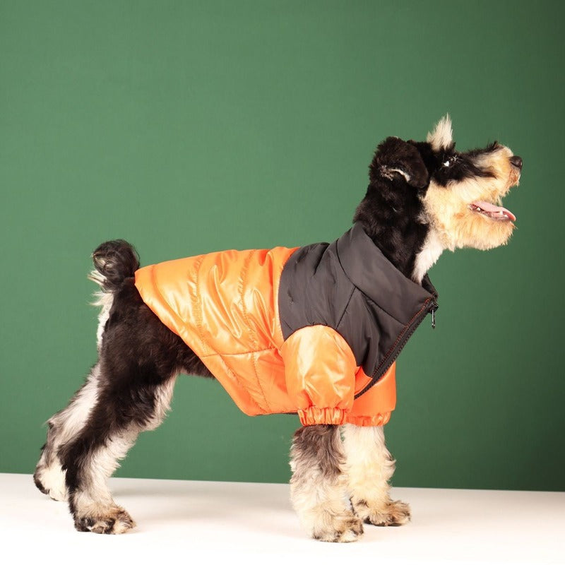 Large Warm Winter Dog Clothes-Ziggy Dog Training Collar