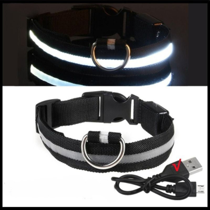 Rechargeable Adjustable LED Flashing Glowing Dog Collar-Ziggy Dog Training Collar