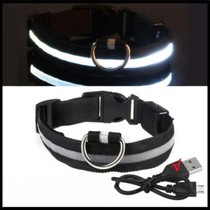 Rechargeable Adjustable LED Flashing Glowing Dog Collar-Ziggy Dog Training Collar