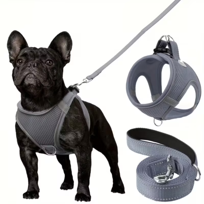 Adjustable Dog Harness With Leash Set And Reflective Trim