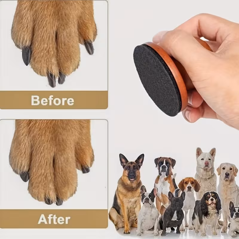 pet nail care dog nail file scratch square for dogs   nail care durable pp material 2