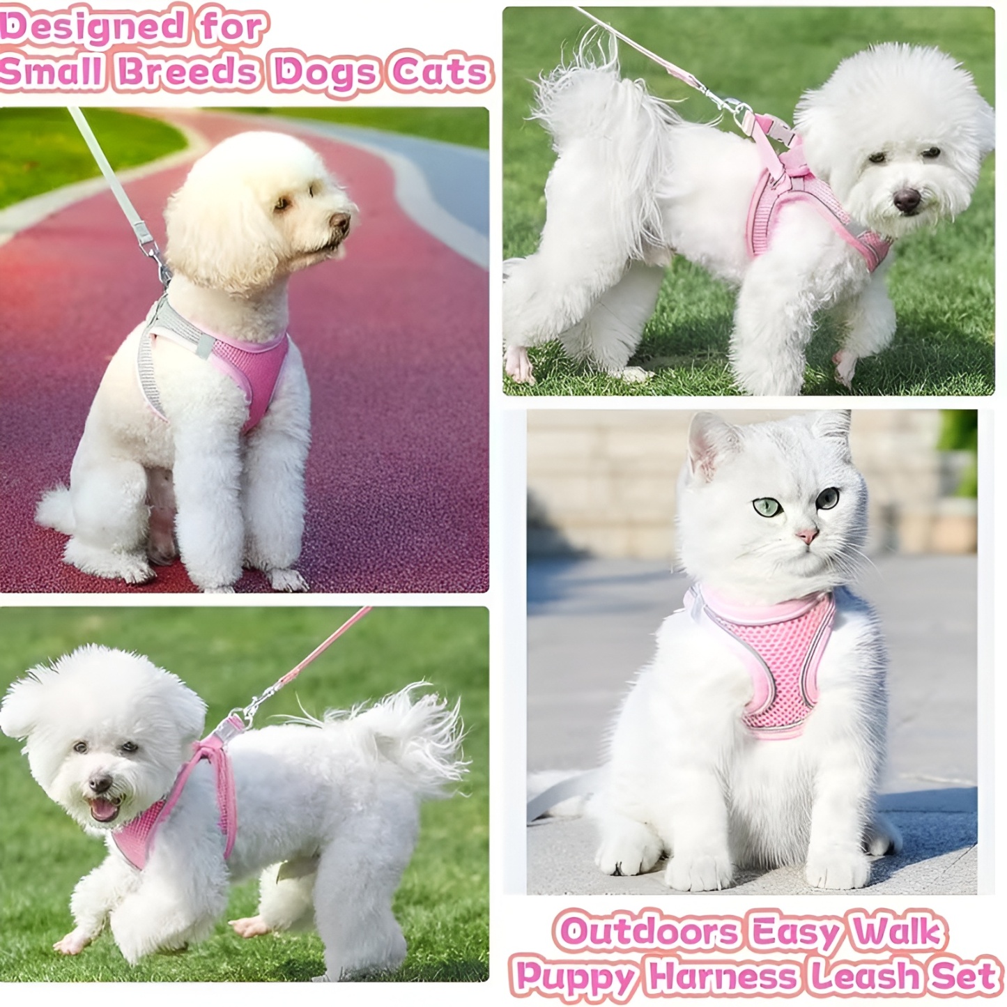 Soft Mesh Adjustable Pet Harness For Small Dogs And Cats
