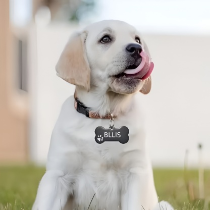 Custom Dog Tag With Engraved Name And Phone Number