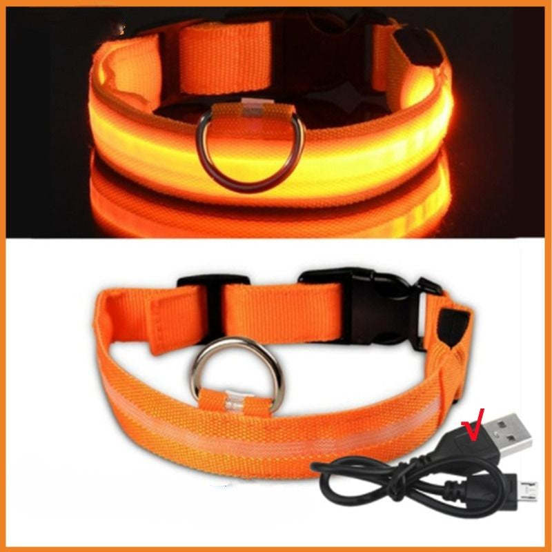 Rechargeable Adjustable LED Flashing Glowing Dog Collar-Ziggy Dog Training Collar