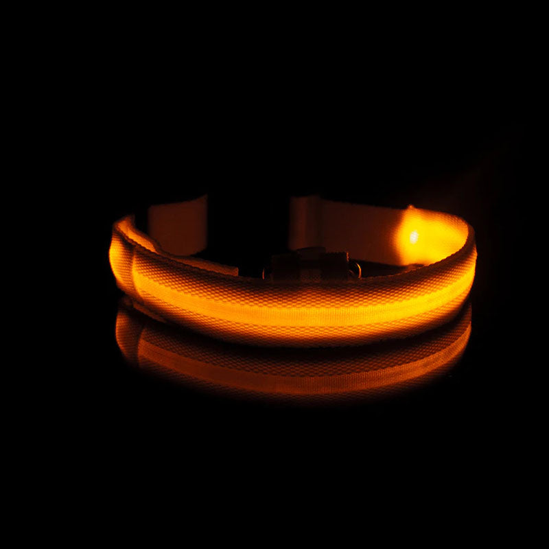 LED Dog Collar-Ziggy Dog Training Collar