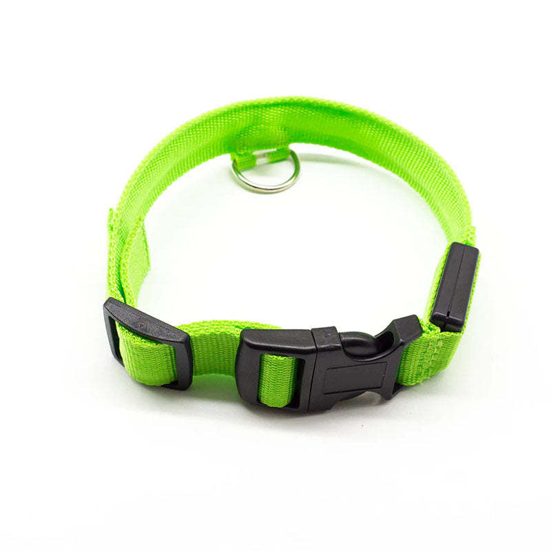 LED Dog Collar-Ziggy Dog Training Collar