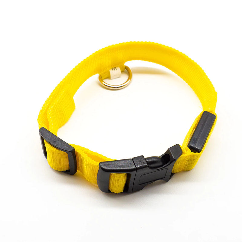 LED Dog Collar-Ziggy Dog Training Collar