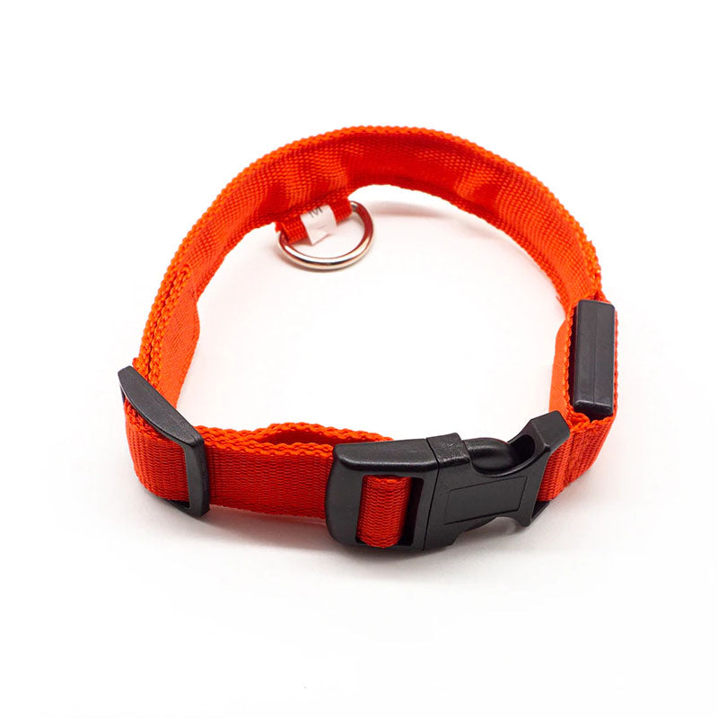 LED Dog Collar-Ziggy Dog Training Collar