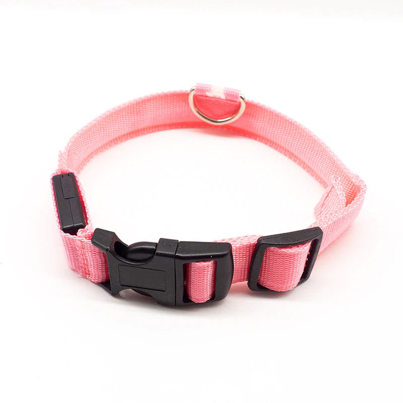 LED Dog Collar-Ziggy Dog Training Collar
