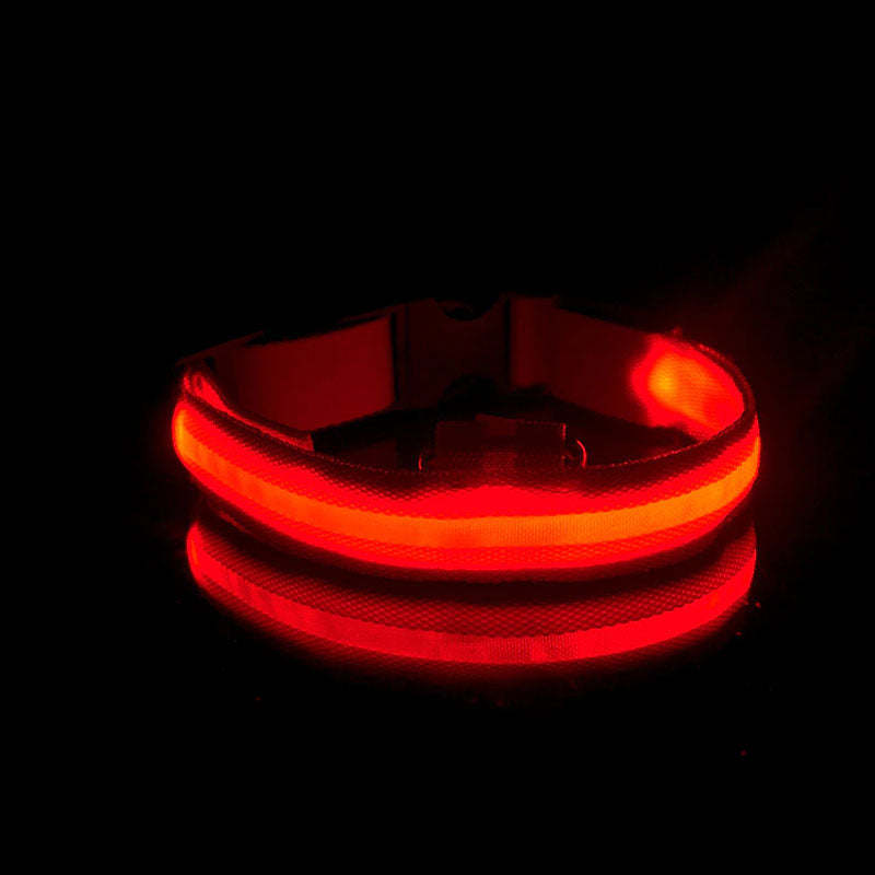 LED Dog Collar-Ziggy Dog Training Collar