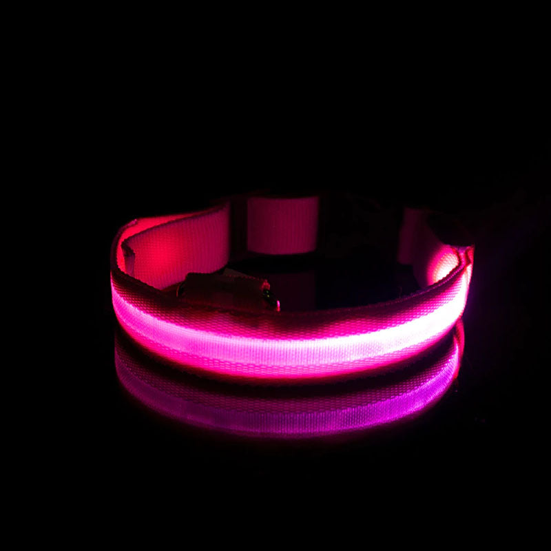 LED Dog Collar-Ziggy Dog Training Collar