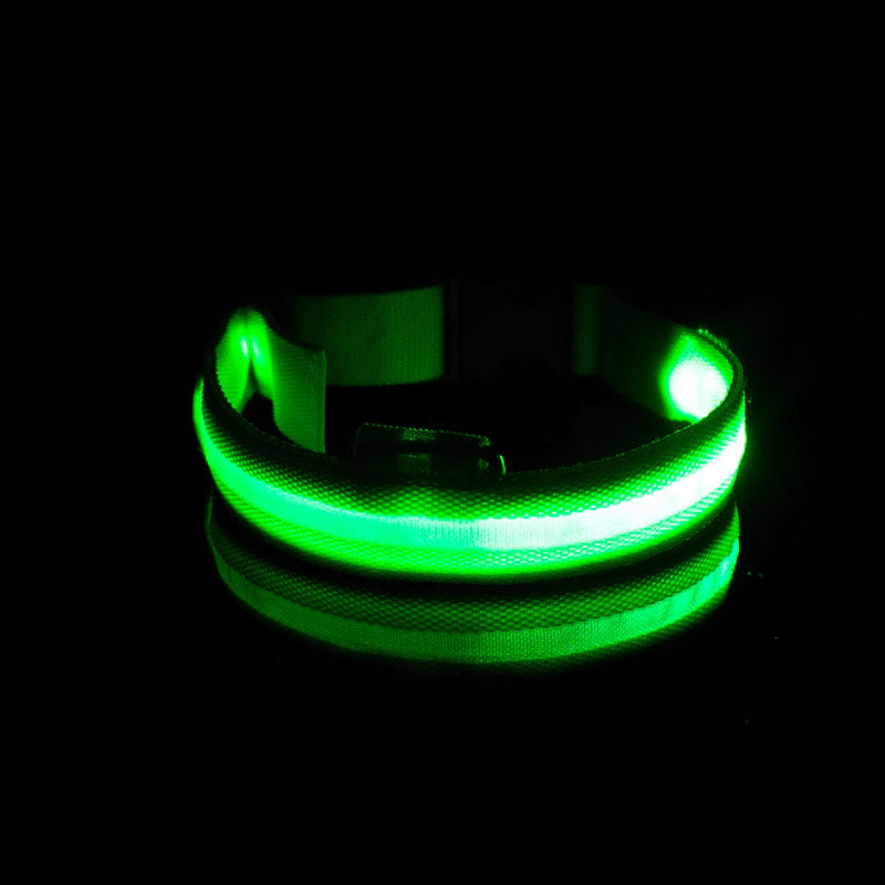 LED Dog Collar-Ziggy Dog Training Collar