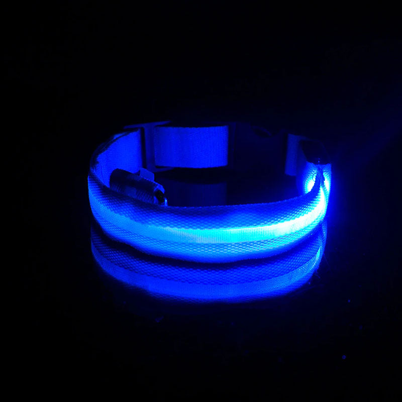 LED Dog Collar-Ziggy Dog Training Collar