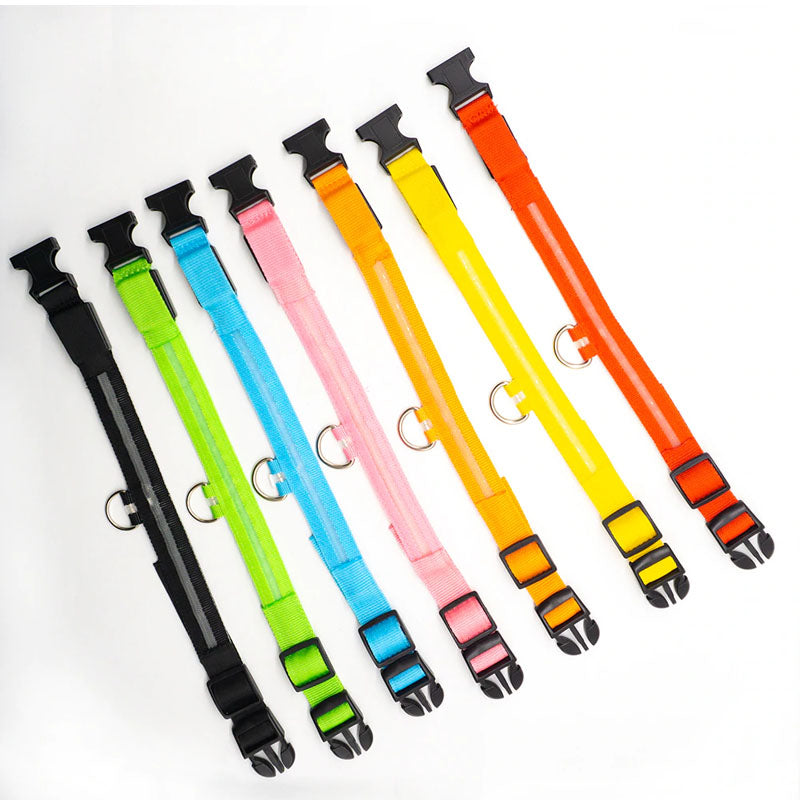LED Dog Collar-Ziggy Dog Training Collar
