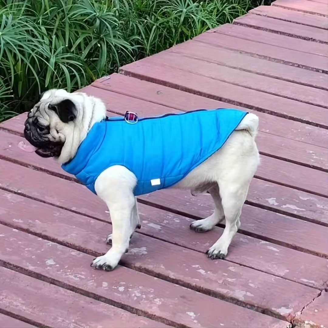 Warm Pet Vest For Cold Weather With Waterproof Design