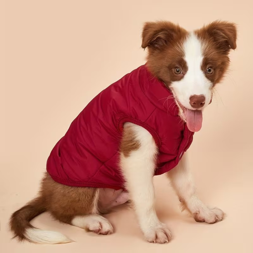 Adjustable Warm Coat With Thick Pad For Dogs