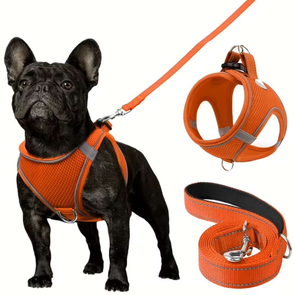 Adjustable Dog Harness With Leash Set And Reflective Trim