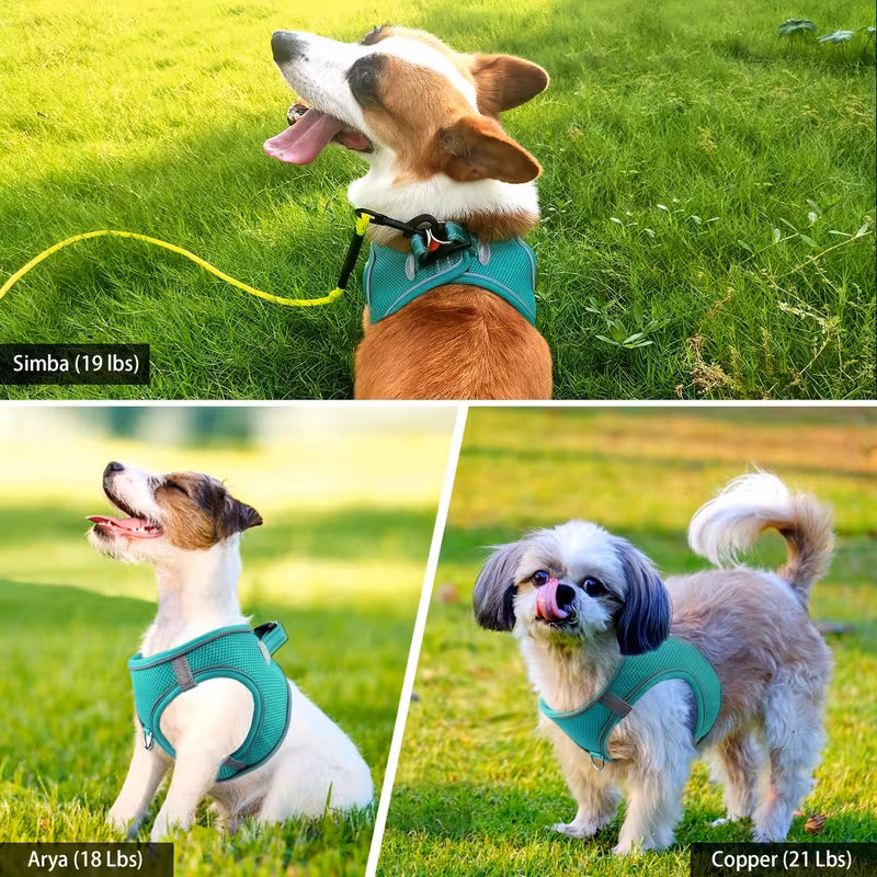 dog harness and leash set reflective soft padded nylon leash breathable mesh vest harness and leash for small and medium dogs 5