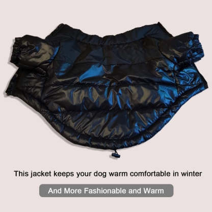 Large Warm Winter Dog Clothes-Ziggy Dog Training Collar