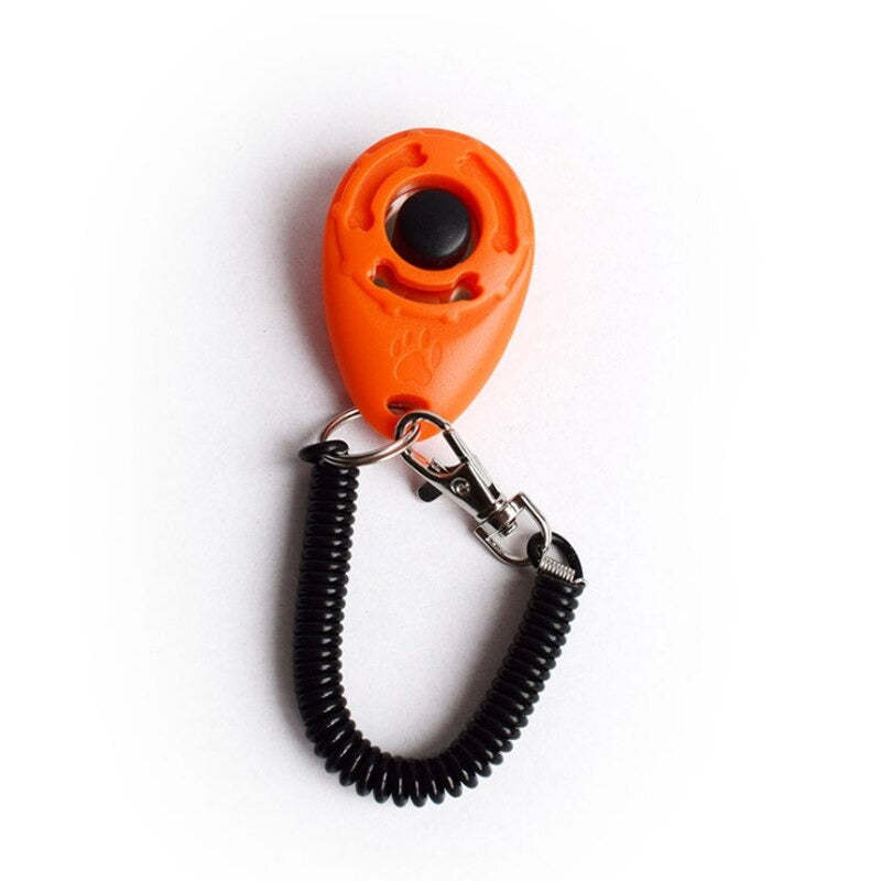 Adjustable Sound Key Chain For Pet-Ziggy Dog Training Collar
