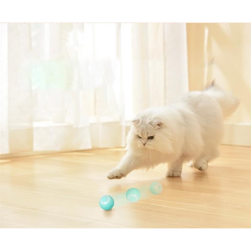 Electric Rolling Ball Pet Toys-Ziggy Dog Training Collar