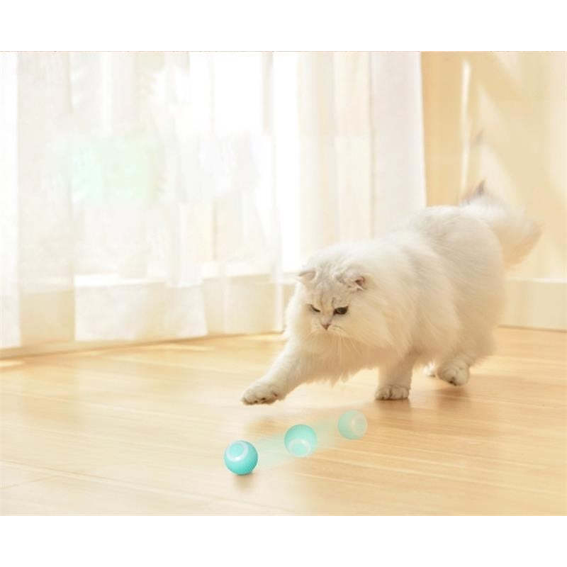 Electric Rolling Ball Pet Toys-Ziggy Dog Training Collar