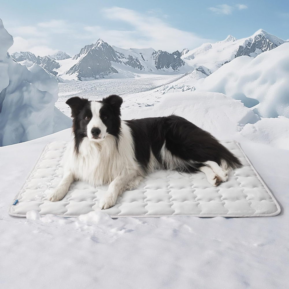 Extra Large Cooling Dog Mat for Summer Comfort