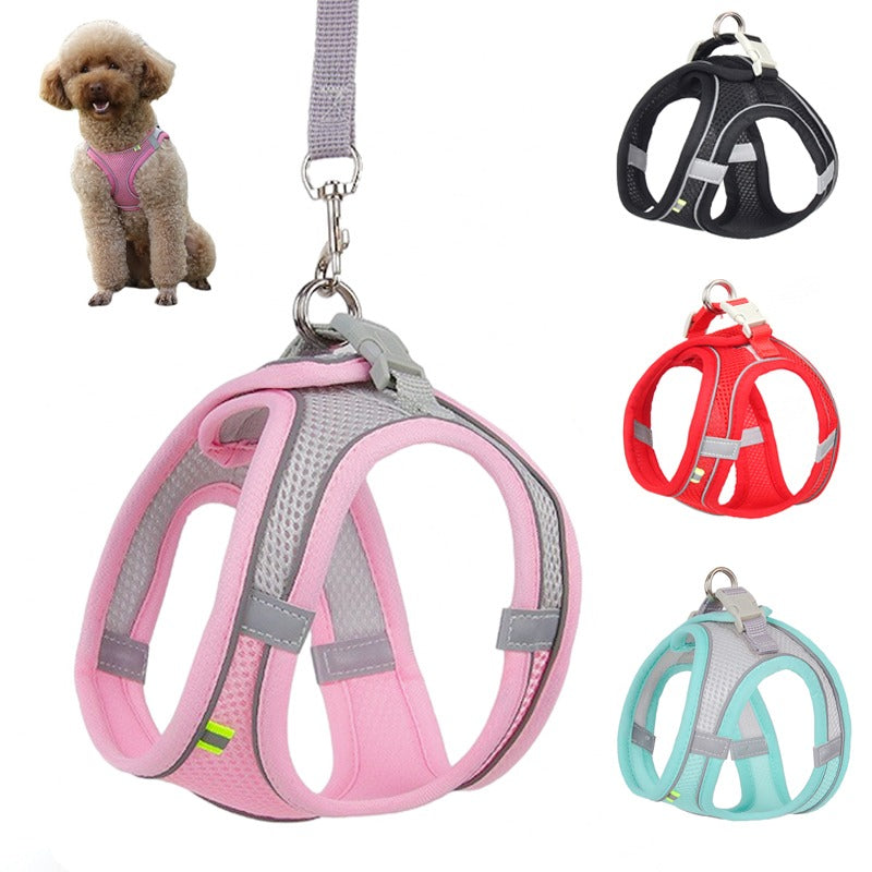 Adjustable Harness Leash Set For Small Dogs-Ziggy Dog Training Collar
