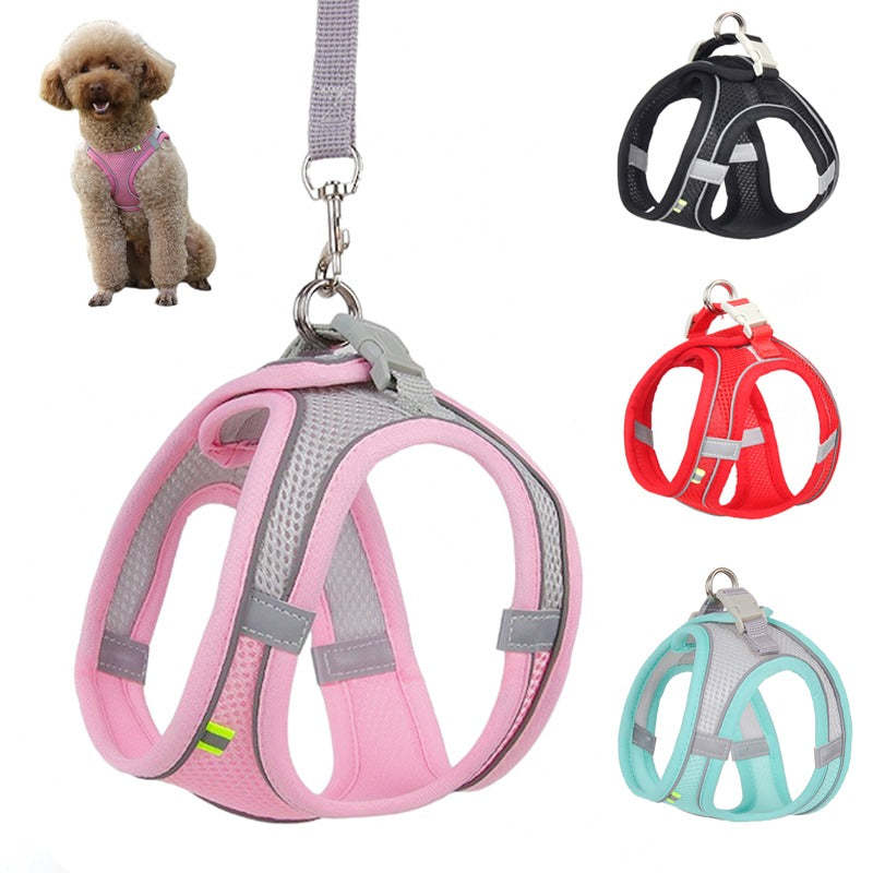 Adjustable Harness Leash Set For Small Dogs-Ziggy Dog Training Collar