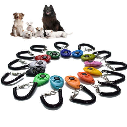 Adjustable Sound Key Chain For Pet-Ziggy Dog Training Collar