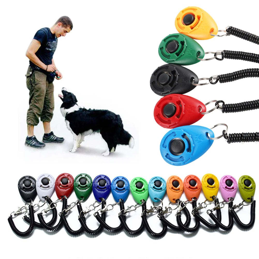 Adjustable Training Sound Key Chain For Pet-Ziggy Dog Training Collar