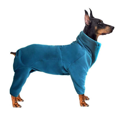 Winter Warm Pet Dog Clothes-Ziggy Dog Training Collar