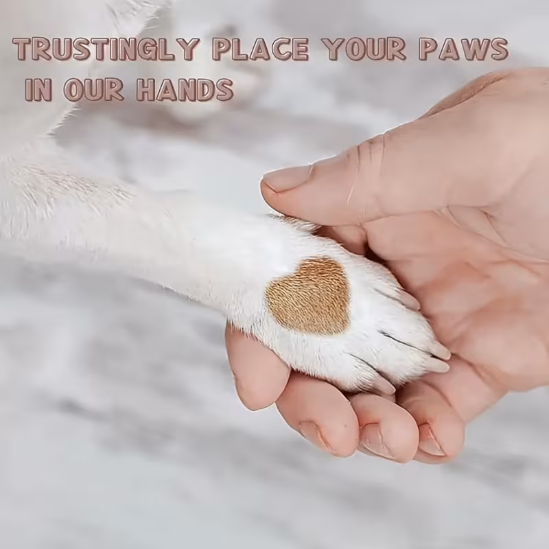 pet nail care dog nail file scratch square for dogs   nail care durable pp material 6