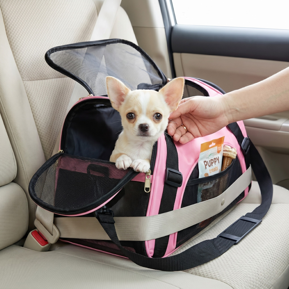 Foldable Airline Approved Soft Sided Carrier Travel Bag For Cat And Dogs