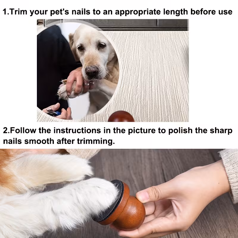 pet nail care dog nail file scratch square for dogs   nail care durable pp material 7