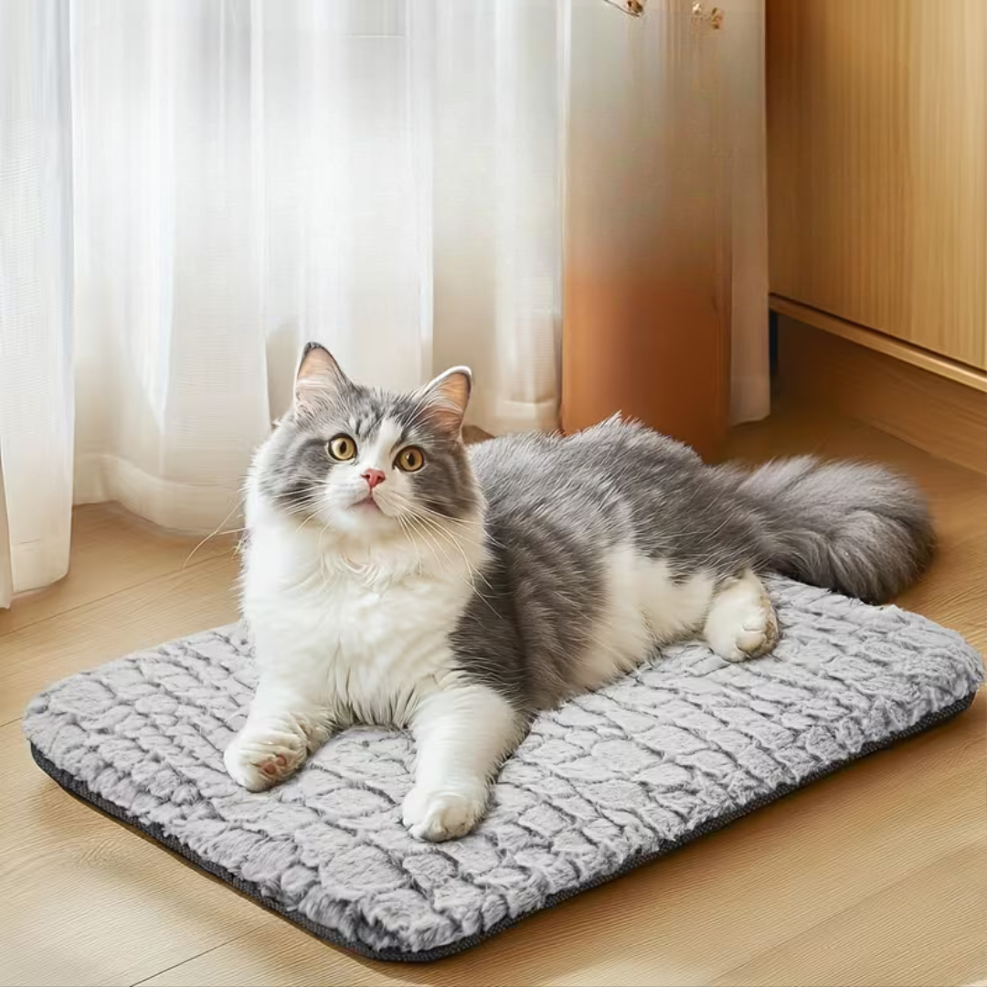 Ultra Soft Thermal Pet Bed Mat With Removable Cover