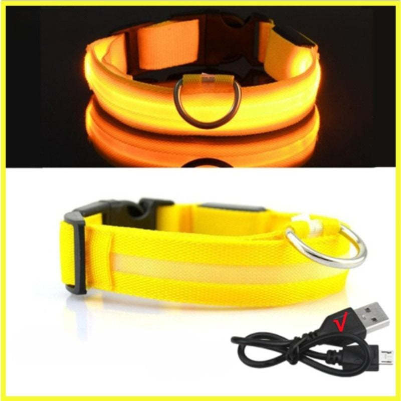 Rechargeable Adjustable LED Flashing Glowing Dog Collar-Ziggy Dog Training Collar